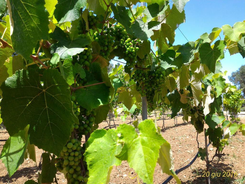 Masseria Vignenove Uggiano La Chiesa Bagian luar foto